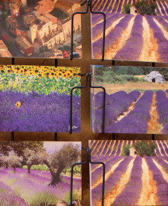 Summer in Rousillon