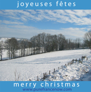 2015 Christmas Card